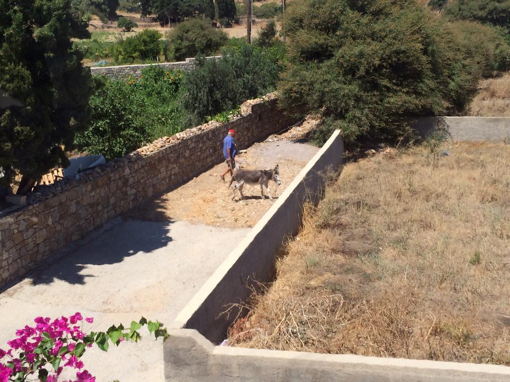 Patmos Villas Gríkosz Kültér fotó