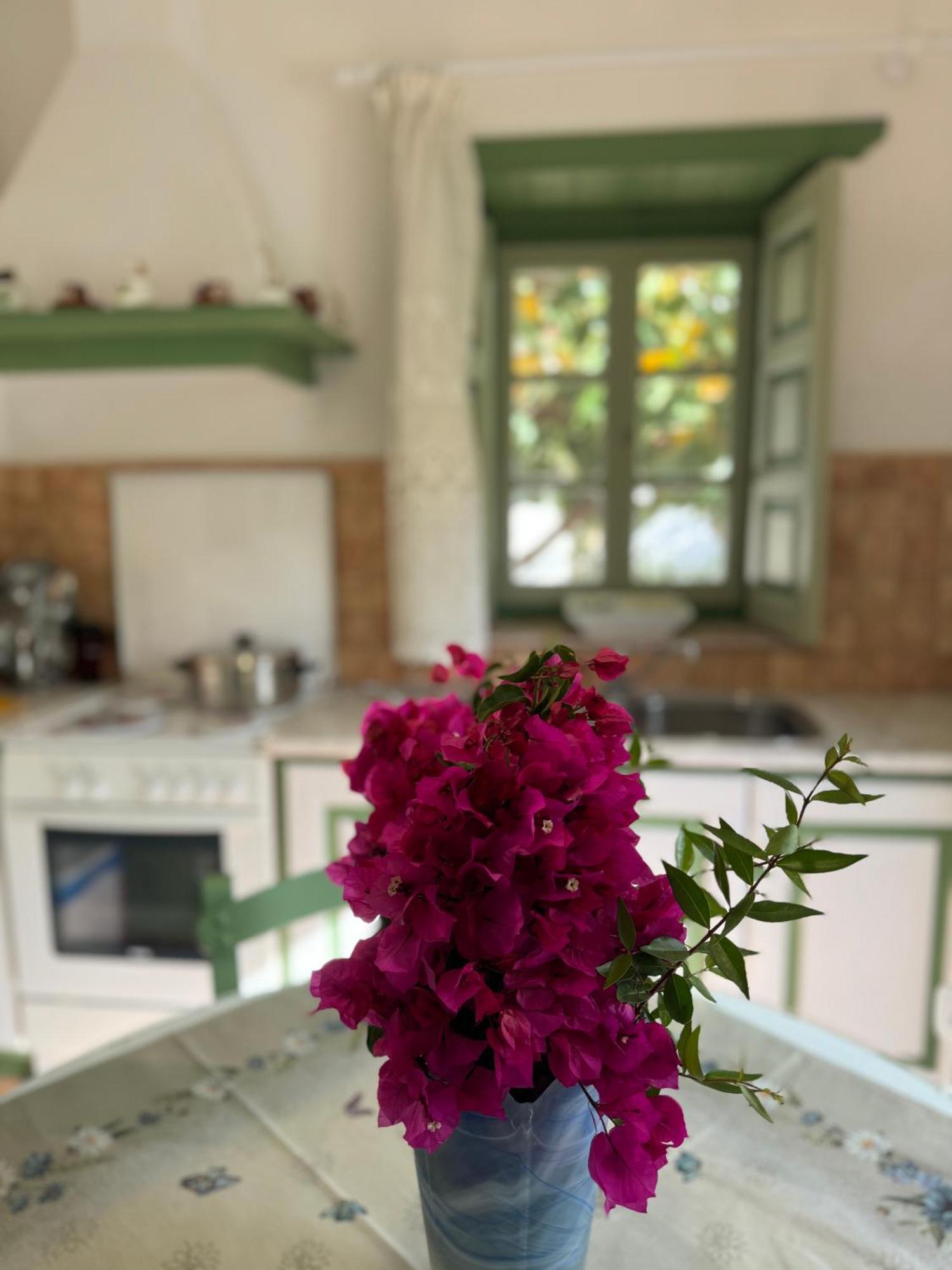 Patmos Villas Gríkosz Kültér fotó